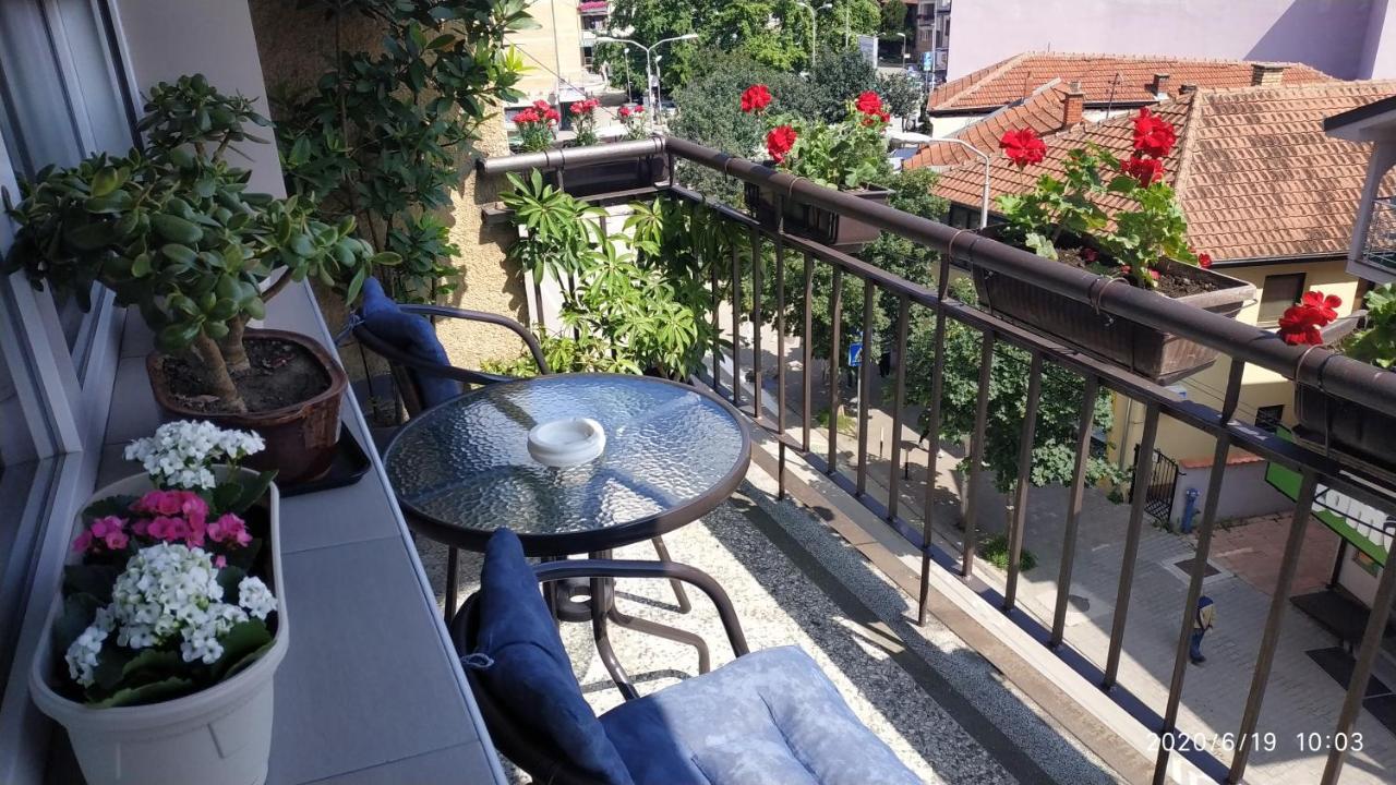 Apartman Rada Пирот Экстерьер фото